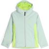 Lime Ice