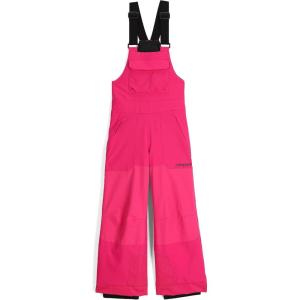 Spyder Boys Youth Scout Bib Ski Pants(Pink)