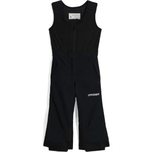 Spyder Boys Expedition Insulated Ski Pant(Black)