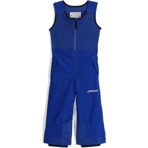 Spyder Boys Expedition Insulated Ski Pant(Electric Blue)