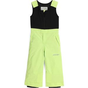 Spyder Boys Expedition Insulated Ski Pant(Lime Ice)