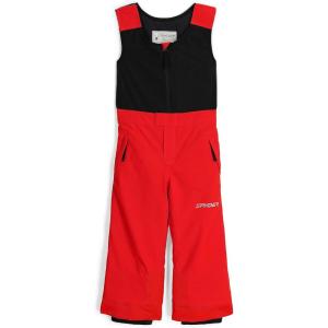 Spyder Boys Expedition Insulated Ski Pant(Volcano)