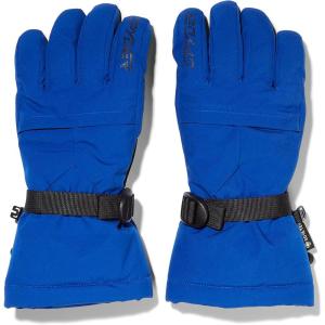 Spyder Womens Synthesis Gore-TEX® Gloves(Electric Blue)