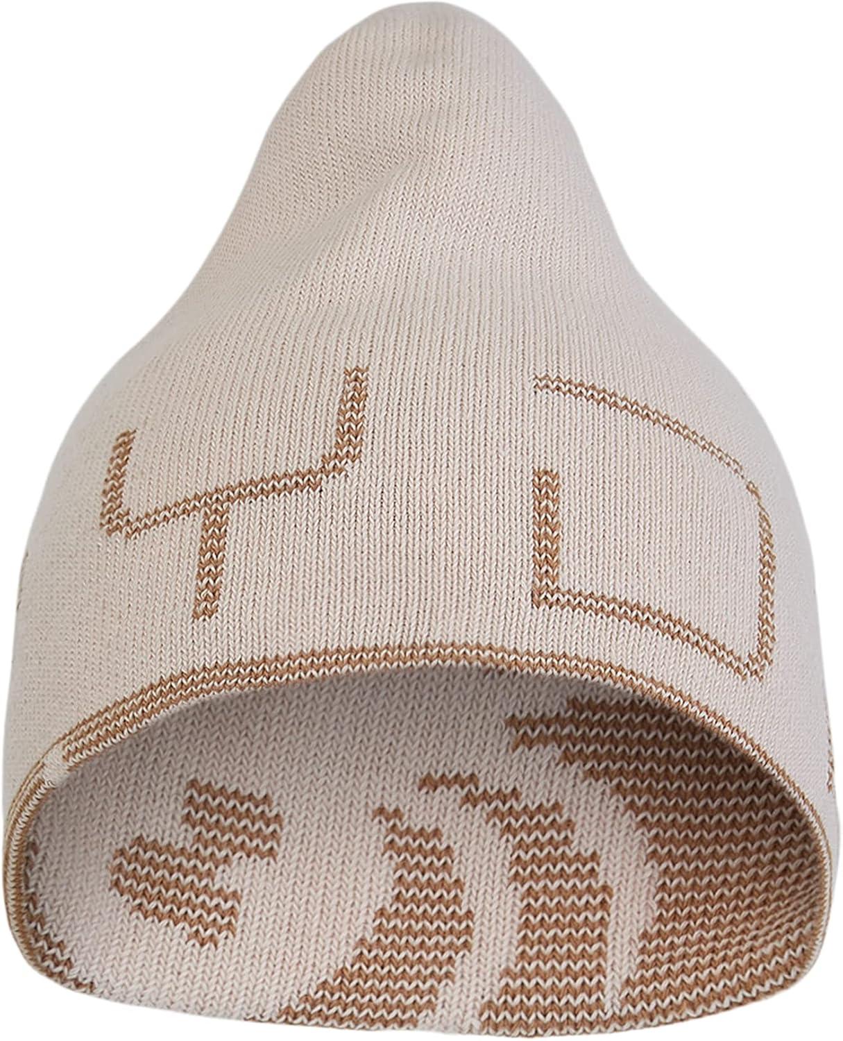 imageSpyder Mens Innsbruck Reversible Ski Winter BeanieMoonbeam