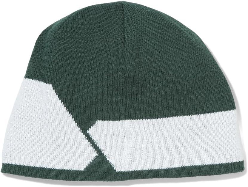 imageSpyder Mens Shelby Lined BeanieCypress Green