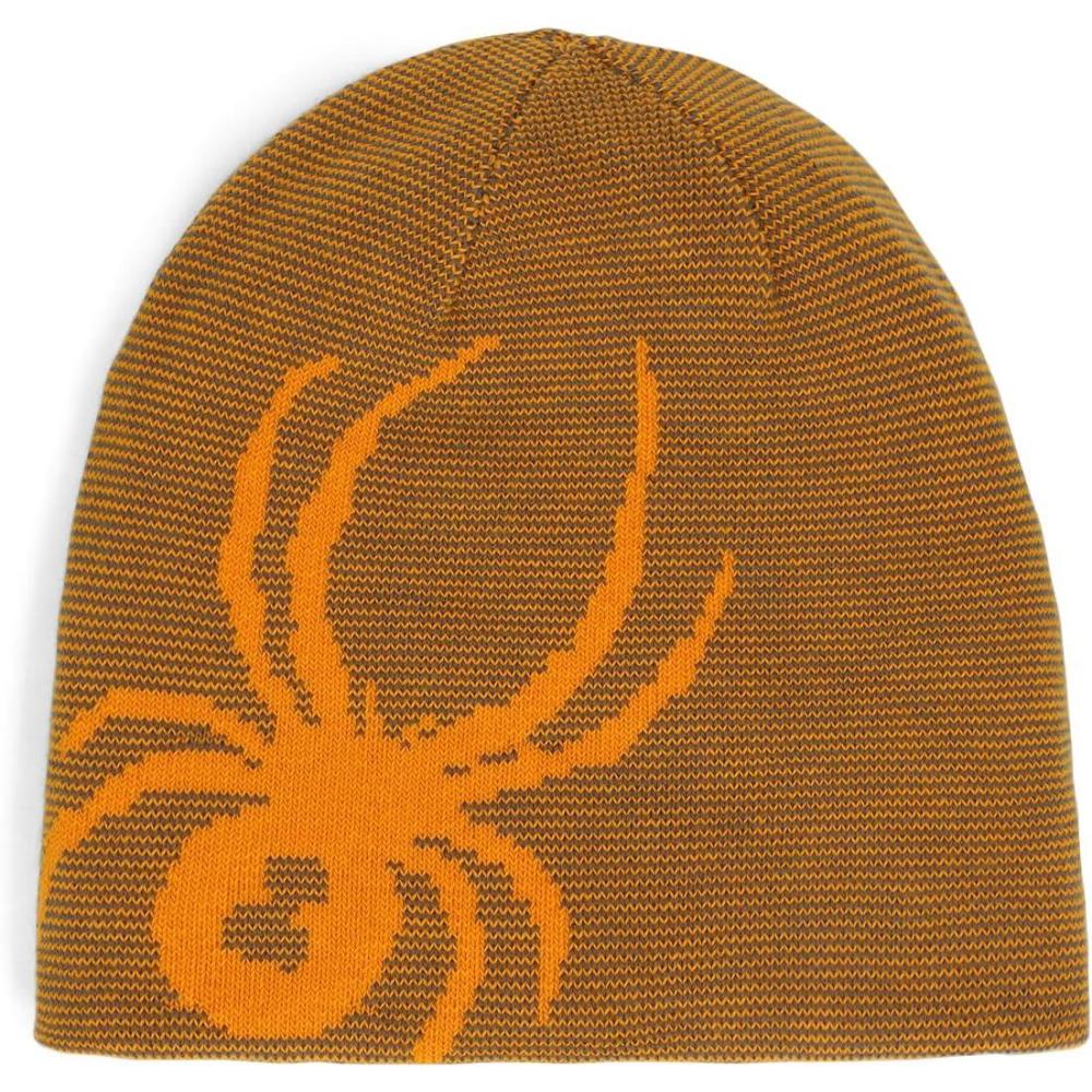 imageSpyder Boys Youth Reversible Bug Ski BeanieStorm