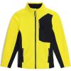 Acid Yellow