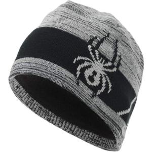 Spyder Mens Shelby Lined Beanie(Alloy/Black)