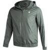 Spruce Green