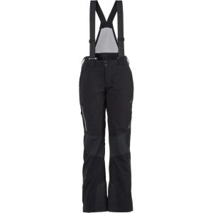 Spyder Active Sports Women’s Tarantula U.S. Ski Team Stretch Insulated Ski Pant(Black)