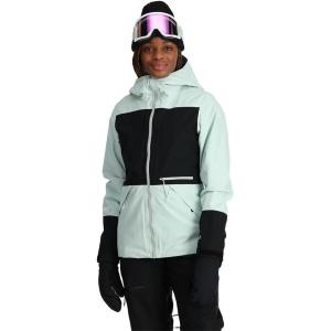 Spyder Women’s Jagged Gtx Shell Jacket(Green)