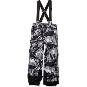 Spyder Boys Boys Propulsion Ski Pants(Frozen in Time Print)