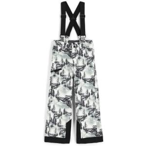 Spyder Boys Boys Propulsion Ski Pants(Tree Line)