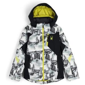 Spyder Big Boys Leader Insulated Ski Jacket(Tree Line)